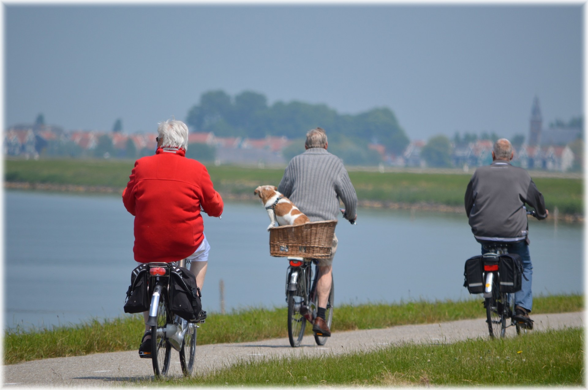 A Global Perspective on Aging & the Longevity Dividend