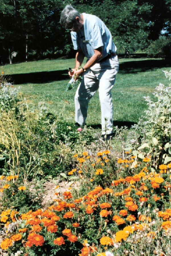 volunteer-gardener-1508838.jpg volunteer-gardener-1508838.jpg
